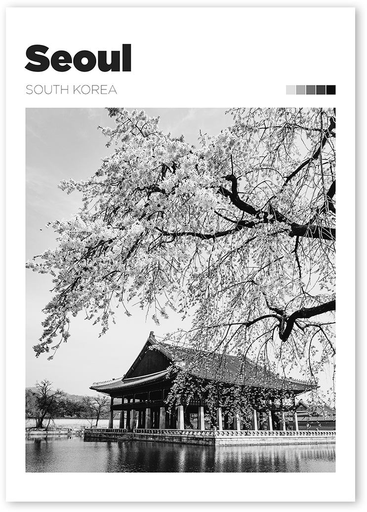 B&W travel poster of cherry blossom tree and Hanok in Gyeongbokgung Palace, Seoul, South Korea.